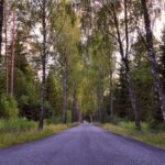 How AI is Transforming Auto Parts Supply Chains: 11xplay.com online, India 24 bet login, Skyinplay login